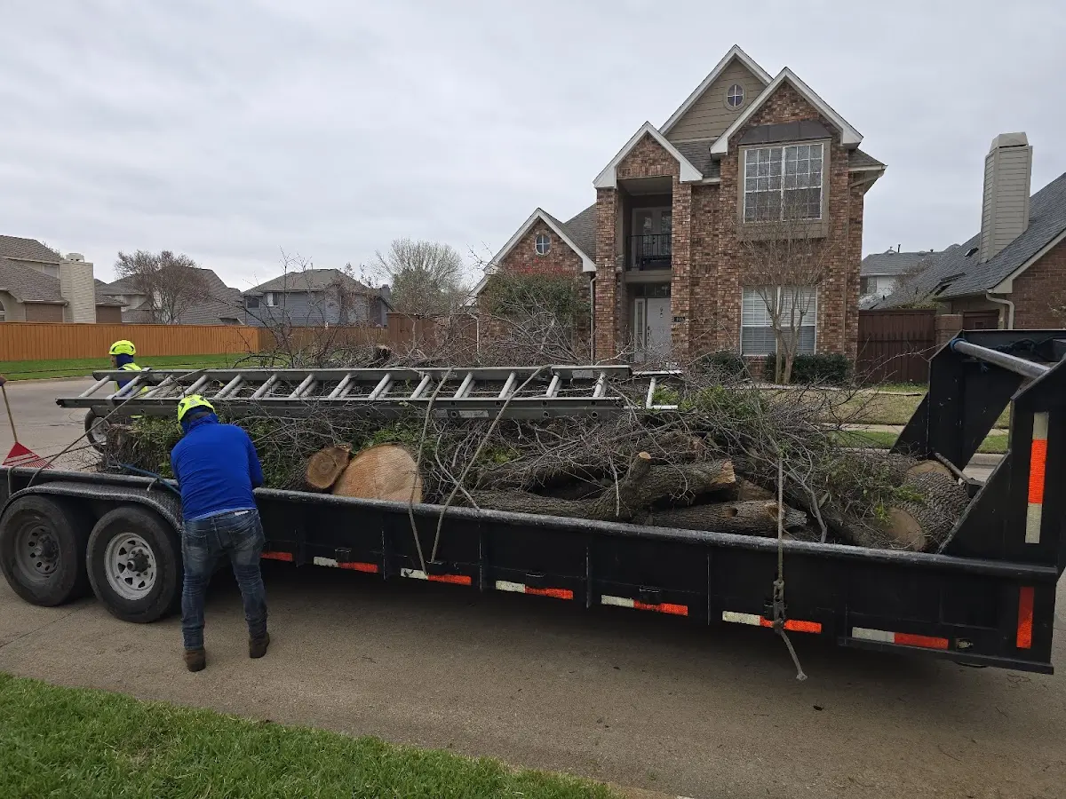 Expert Lot Clearing with proper safety equipment in Fort Lupton